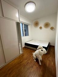 Forestville (D25), Condominium #462978451